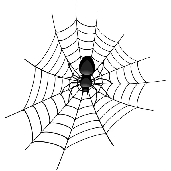 Spindel i ett spindelnät — Stock vektor