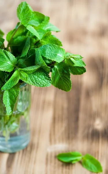 stock image Mint leaves in the glass