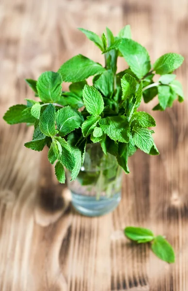 Mint leaves in the glass — Stock Photo, Image