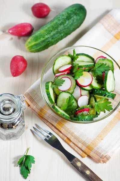 Komkommer- en radijssalade — Stockfoto