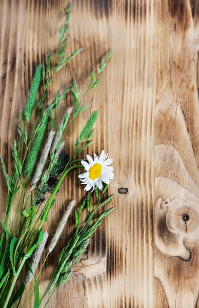 Herbes sur le fond en bois — Photo