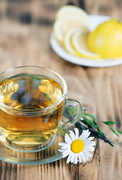 Bitkisel çay papatya ve limon ile — Stok fotoğraf