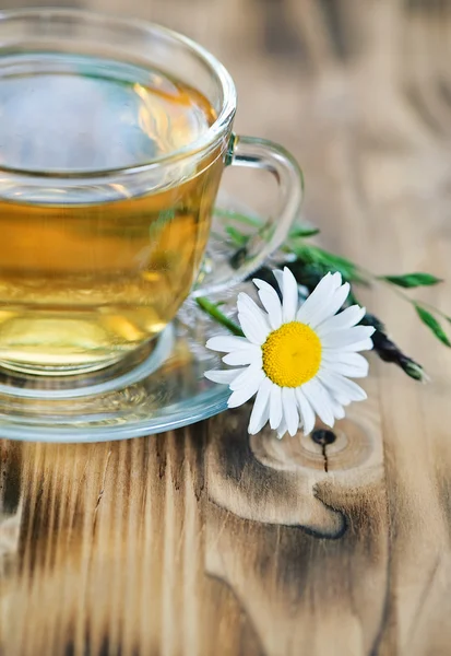 Herbal tea with camomile — Stock Photo, Image