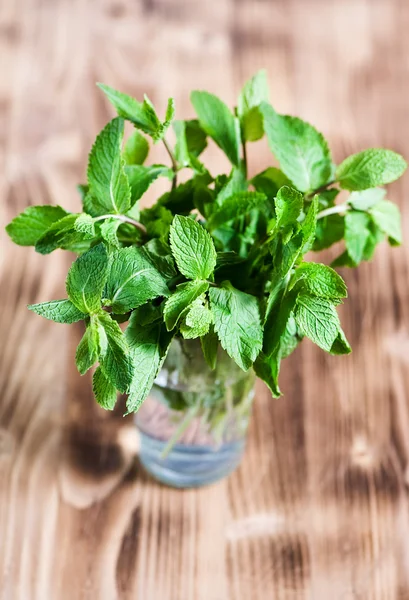 Mint leaves in the glass — Stock Photo, Image
