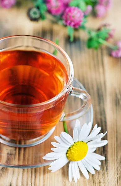 Herbal tea with chamomile — Stock Photo, Image