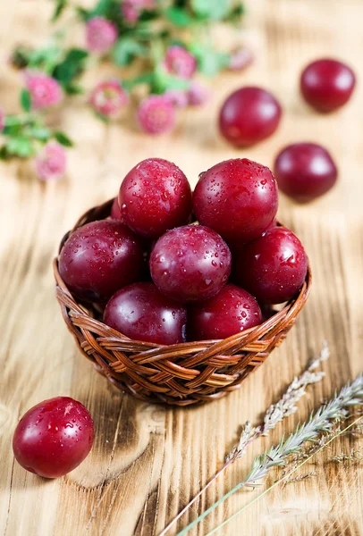 Ripe cherry plum — Stock Photo, Image