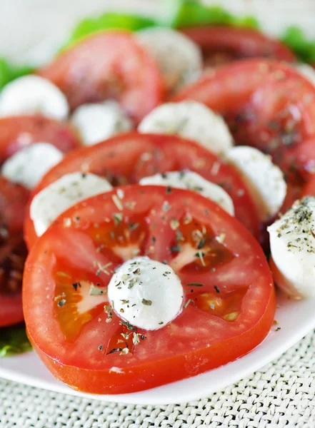 Tomat och mozzarella sallad — Stockfoto
