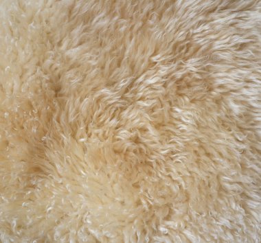 Sheep fur texture clipart