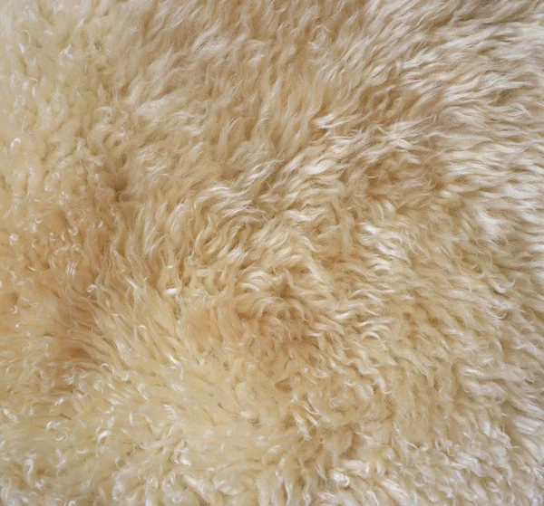 Consistenza della pelliccia di pecora — Foto Stock