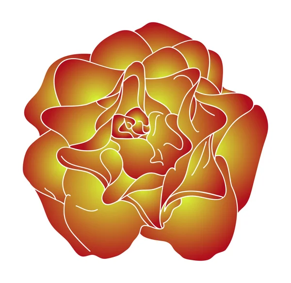 2色のバラ — ストックベクタ