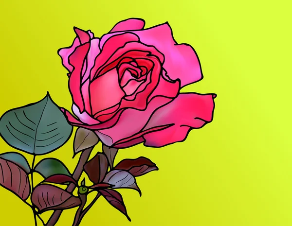 Růžová růže — Stockový vektor