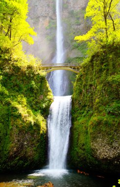 Multnomah falls and bridge in the morning sun light clipart