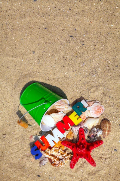 Sfondo estivo con conchiglie sulla sabbia — Foto Stock