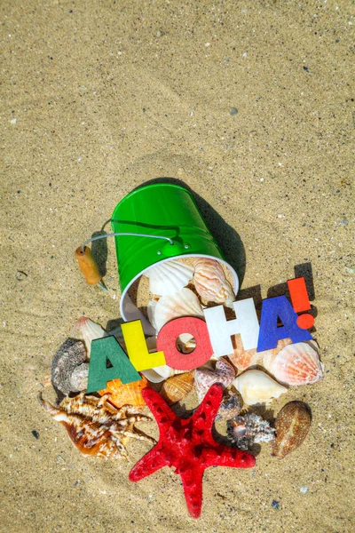Palabra "Aloha" con fondo de estrella de mar y conchas —  Fotos de Stock