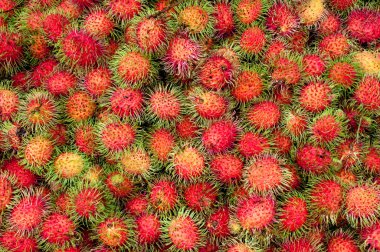 Rambutan