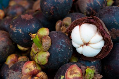 Mangosteen