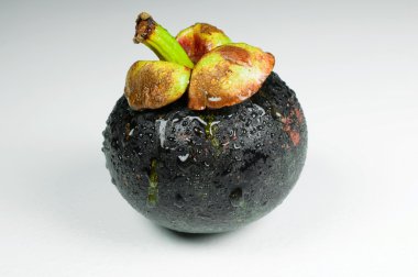 Mangosteen