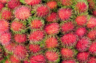 Rambutan