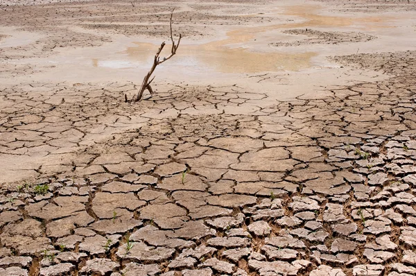 stock image Dry earth