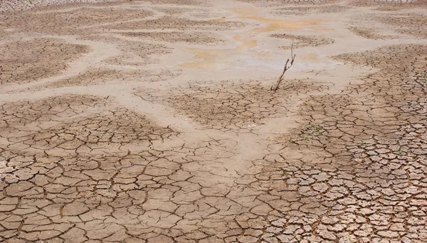 Stock image Dry earth