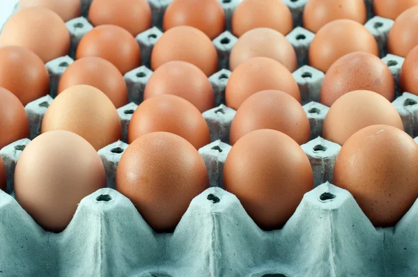 Fila de huevos —  Fotos de Stock