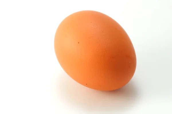 Яйце на білому тлі — стокове фото