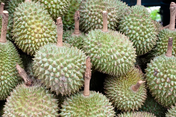 stock image Durian fruit