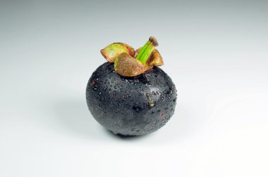 Mangosteen