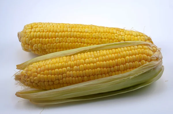 stock image Fresh corn