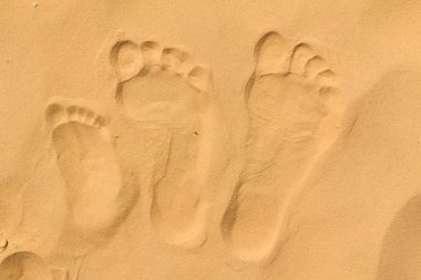 Family footprints on sand clipart