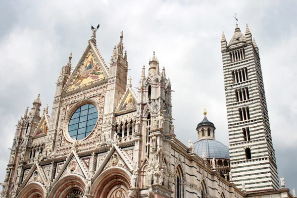 Siena Duomo — Stok fotoğraf
