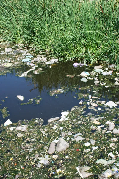 Загрязнение воды — стоковое фото