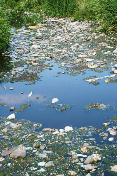 Забруднена річка Стокове Зображення