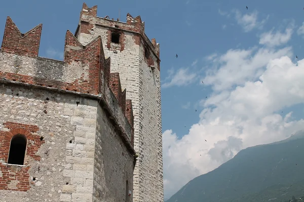 Castillo Scaligero en Italia —  Fotos de Stock