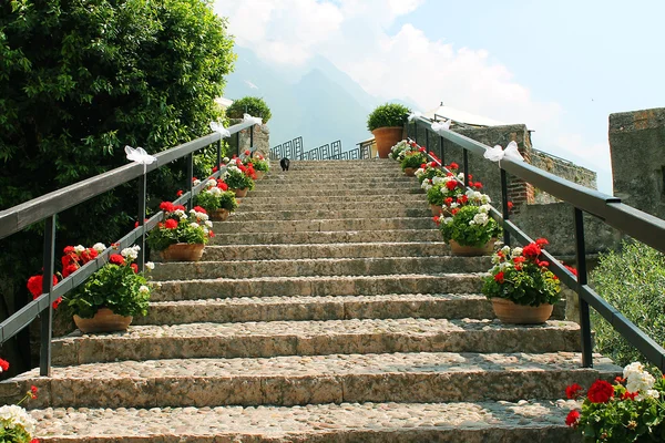 Stenen trap versierd met bloemen Rechtenvrije Stockafbeeldingen