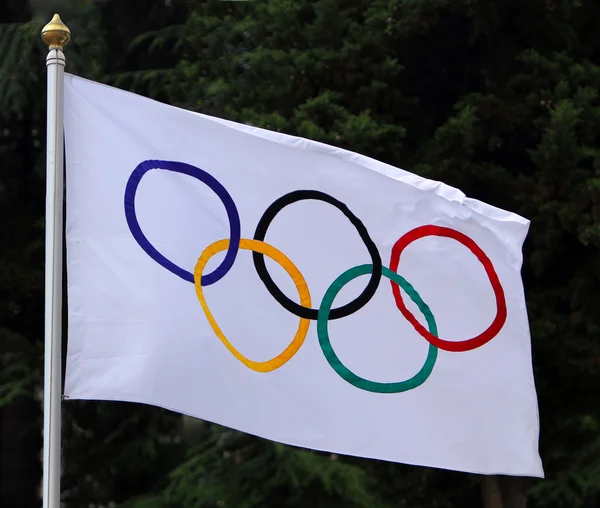 Olimpiyat bayrağı sallayarak — Stok fotoğraf