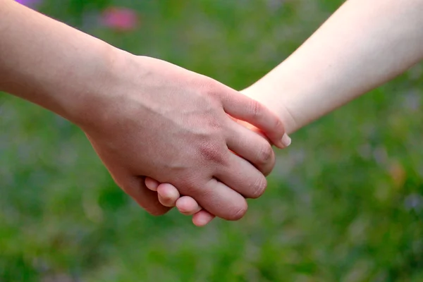 Child holds the hand of the mother on field — Stock Photo, Image
