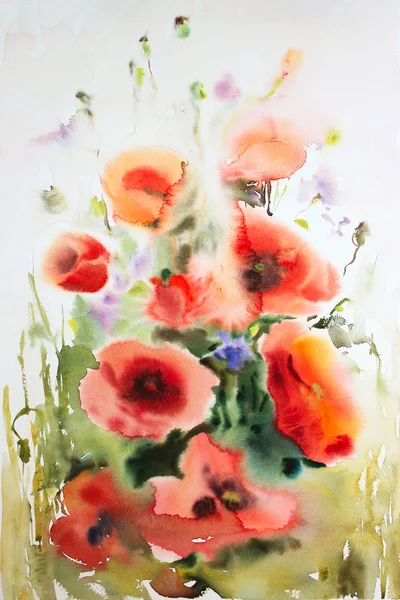 Original watercolor illustration of the poppies — Stock Photo, Image