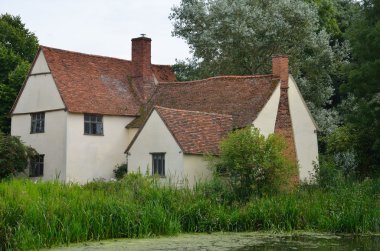 Reeds and Cottage clipart