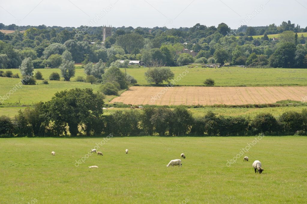 Landscape of suffolk east anglia