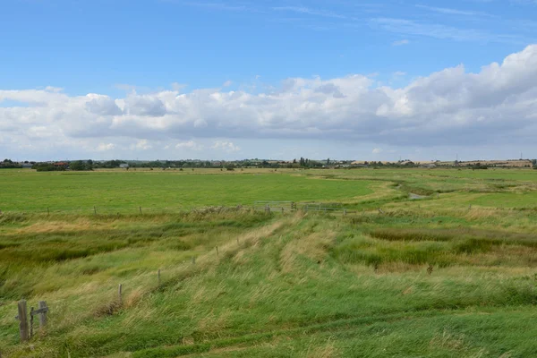 stock image Essex Landscape