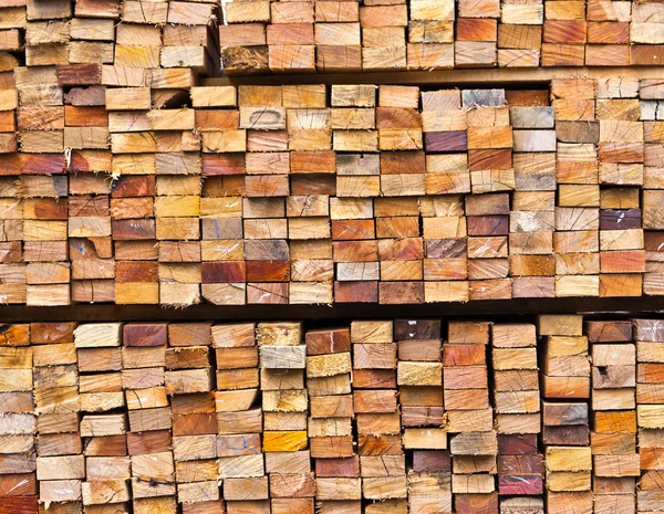 Pila di tronchi di legno — Foto Stock