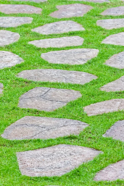 stock image Stone path on green grass