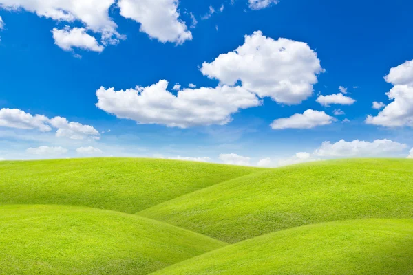 Weide tegen blauwe hemel — Stockfoto