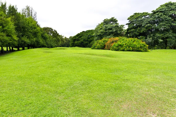 Grüne Rasenfläche im Park — Stockfoto