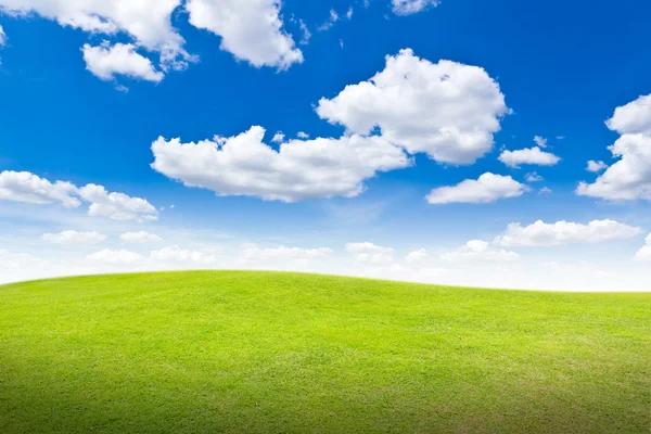 Meadow against blue sky — Stock Photo, Image