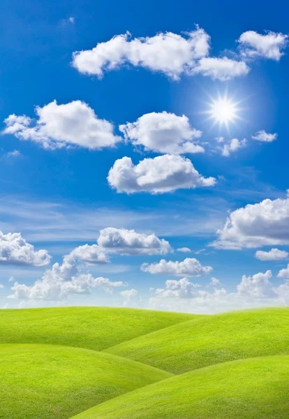 Meadow against blue sky — Stock Photo, Image