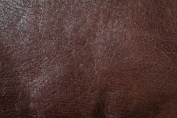 褐色皮革的质地 — 图库照片