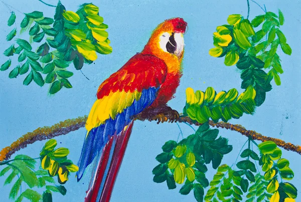 stock image Poster color drawing red macaw