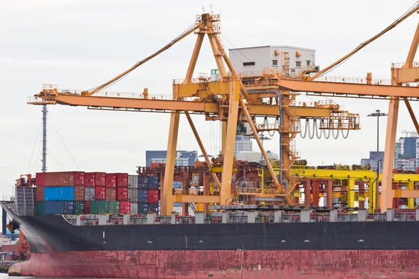Containerfracht mit Arbeitskran in Werft — Stockfoto